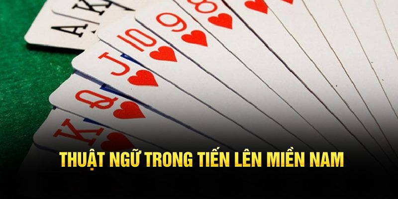 Thuật ngữ trong tiến lên miền nam