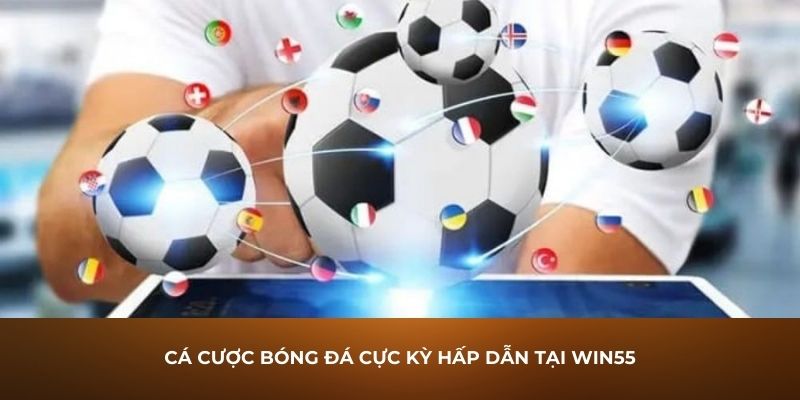 Cá cược bóng đá cực kỳ hấp dẫn người chơi