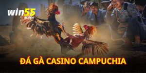 Đá gà casino campuchia